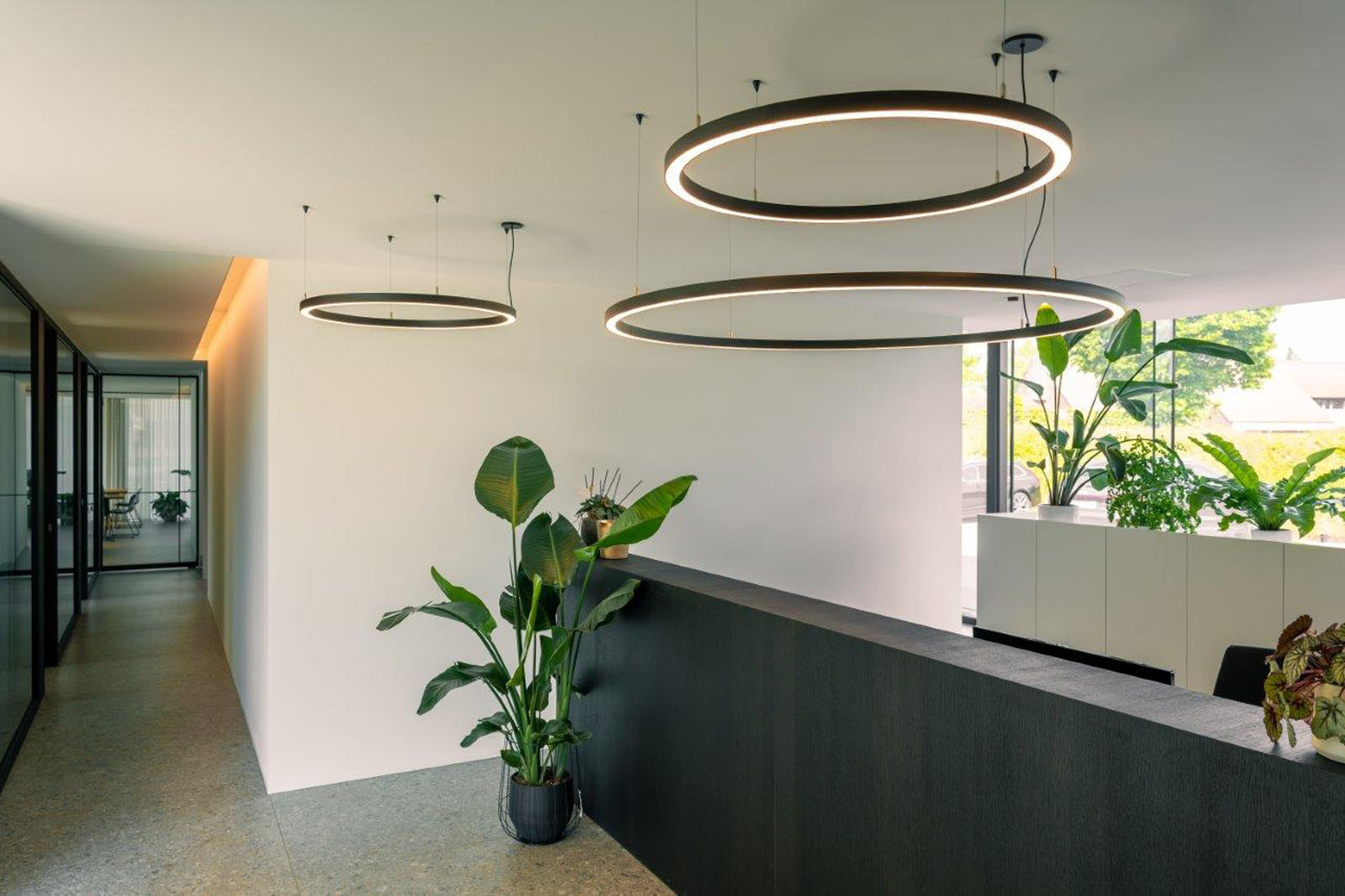 Ringo_TexturedBlack (2)